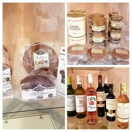 Les Gabarres Hotel Tour-de-Faure